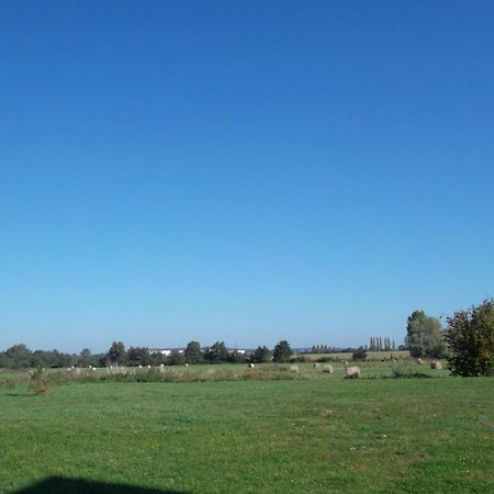 מלון ארגנטן Manoir De Coulandon מראה חיצוני תמונה