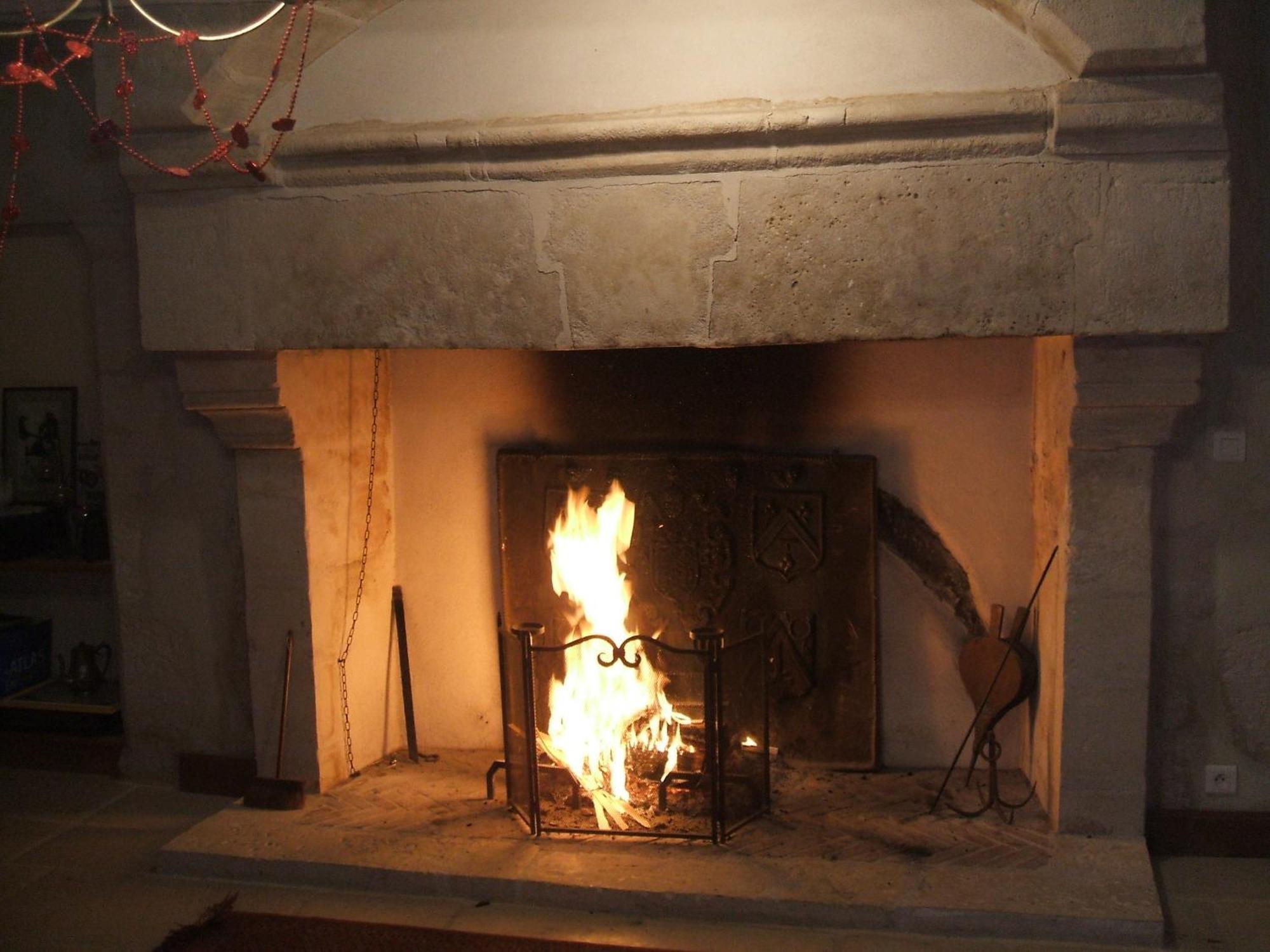 מלון ארגנטן Manoir De Coulandon מראה חיצוני תמונה